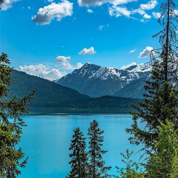 Mens - Picture 2 of 7